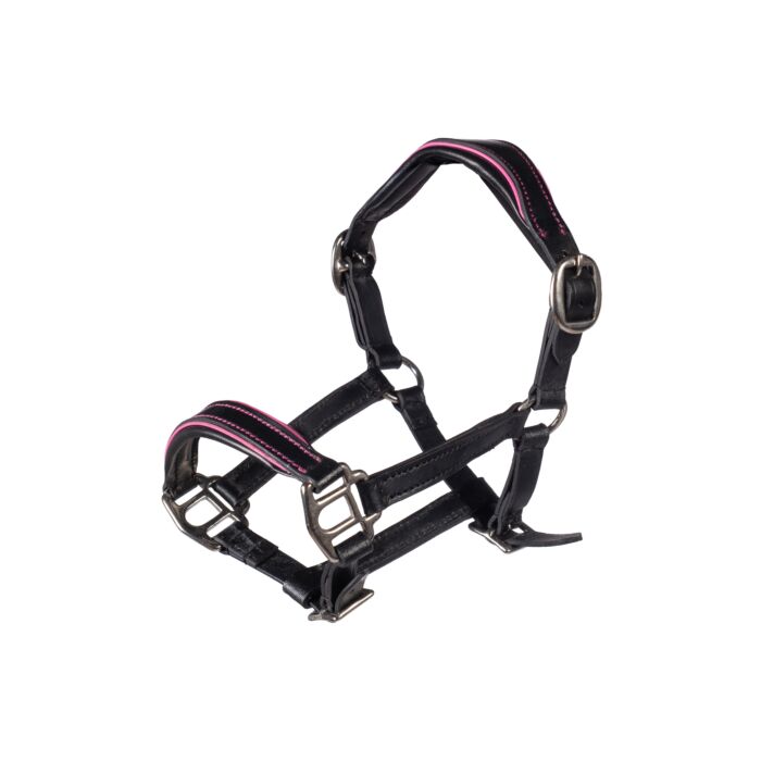 HKM Hobby Horse Lederhalfter Manchester Schwarz/Pink