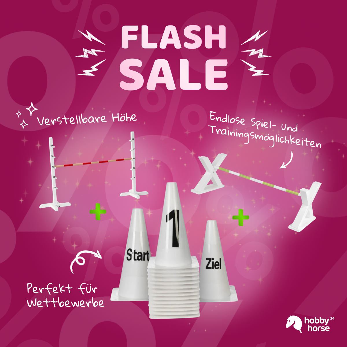 FLASH SALE Hindernis Bundle
