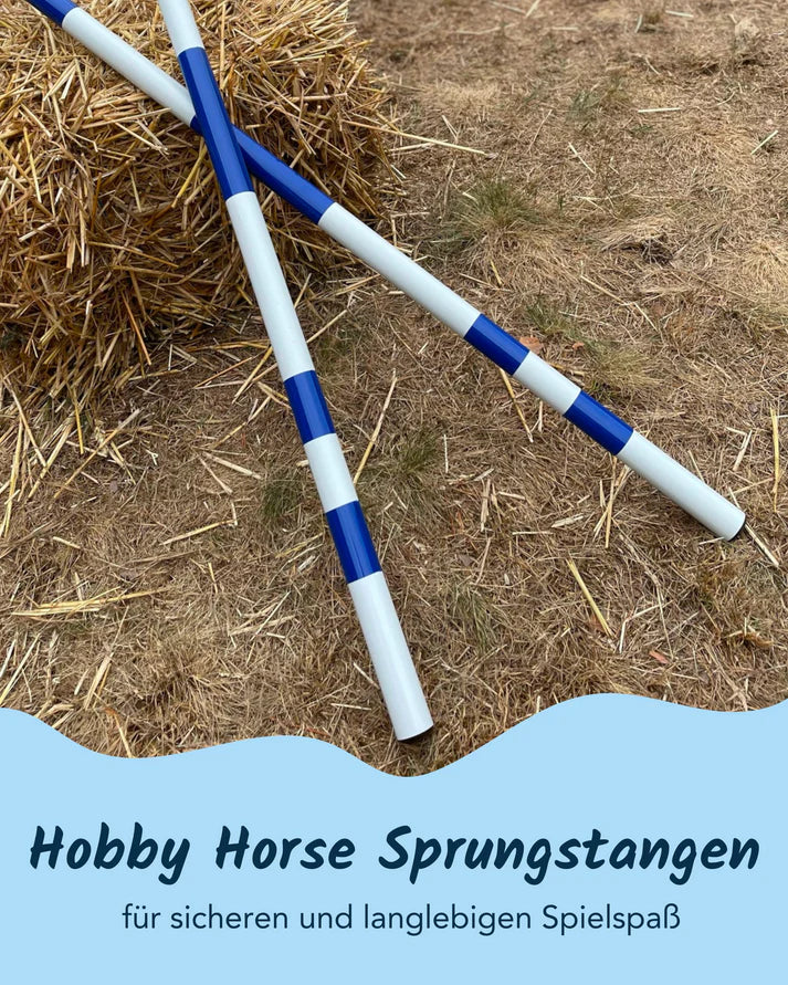 Hoopys Hindernis- und Trabstangen