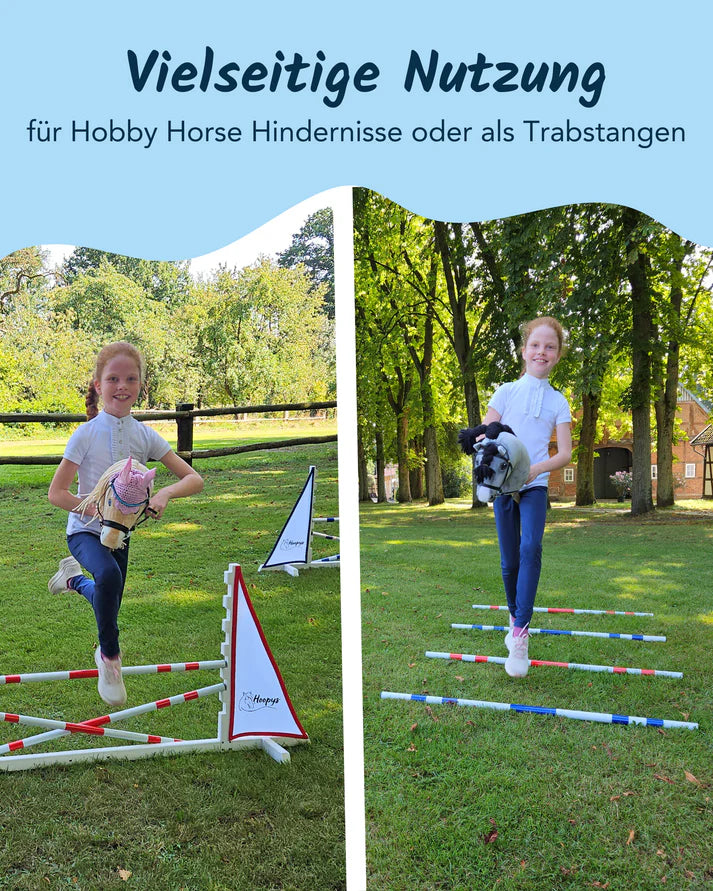 Hoopys Hindernis- und Trabstangen