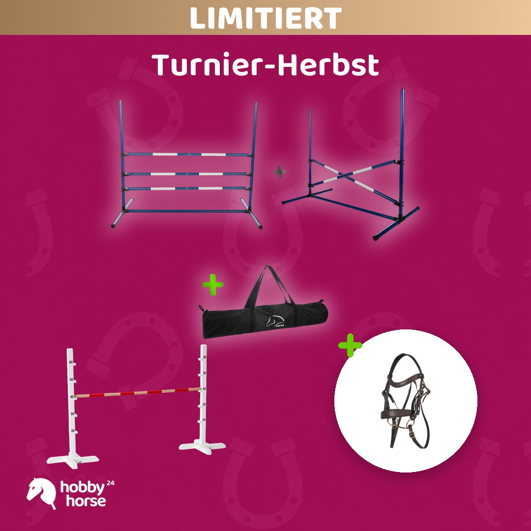 Turnier-Herbst Bundle: HKM Sprung-Set mit 2 Hindernissen und Tragetasche, ByAstrup Hürde und HKM Trense Braun