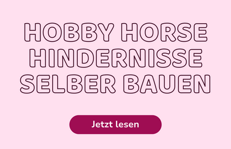 Hobby Horse Hindernisse selber machen