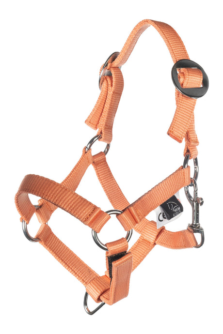 HKM Hobby Horse Halfter und Strick Orange - Hobby Horsing Basic