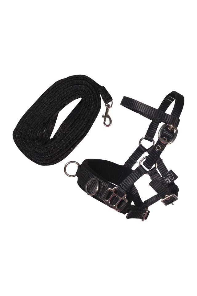 HKM Hobby Horse Longierset