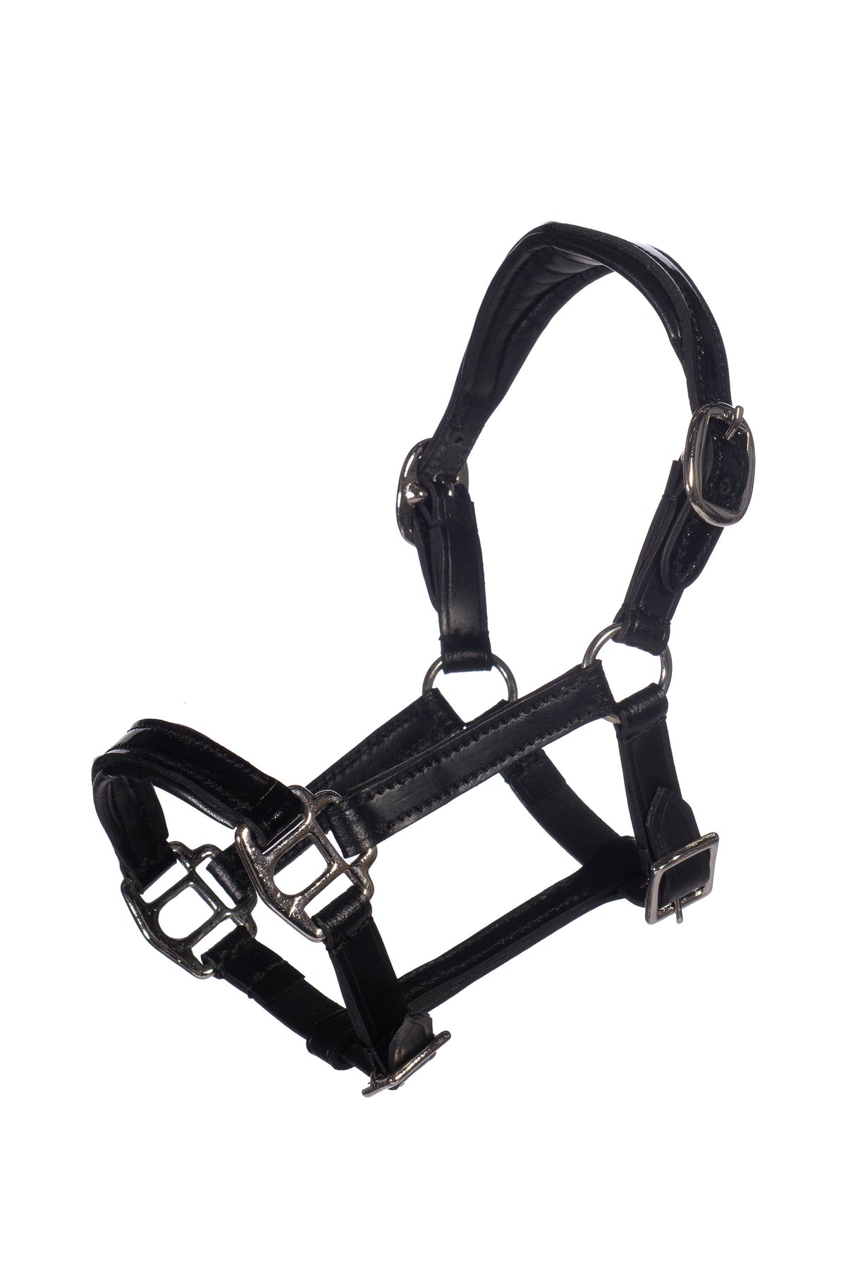 HKM Hobby Horse Lederhalfter Lack