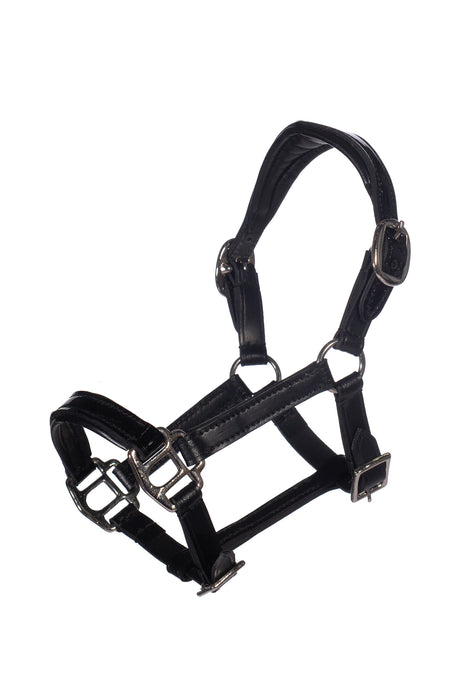 HKM Hobby Horse Lederhalfter Lack