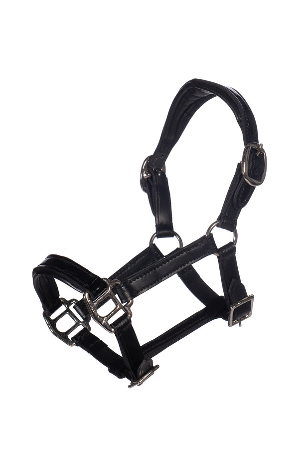 HKM Hobby Horse Lederhalfter Lack