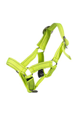 HKM Hobby Horse Halfter Reflective