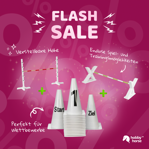 FLASH SALE Hindernis Bundle