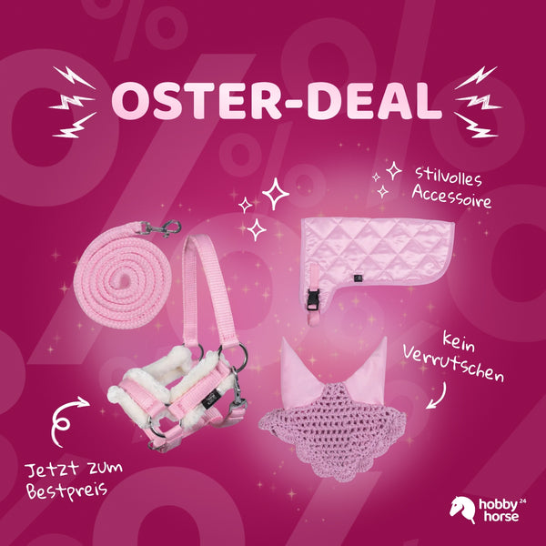 HKM Hobby Horse Outfit Rosa BUNDLE