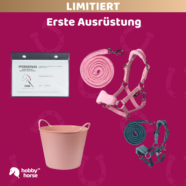 Erste Ausrüstung – Halfter mit Fleece, Futtereimer und Pferdepass