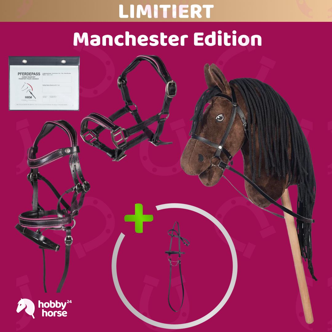 Manchester Edition – Hobby Horse Braun mit Ledertrense und Lederhalfter